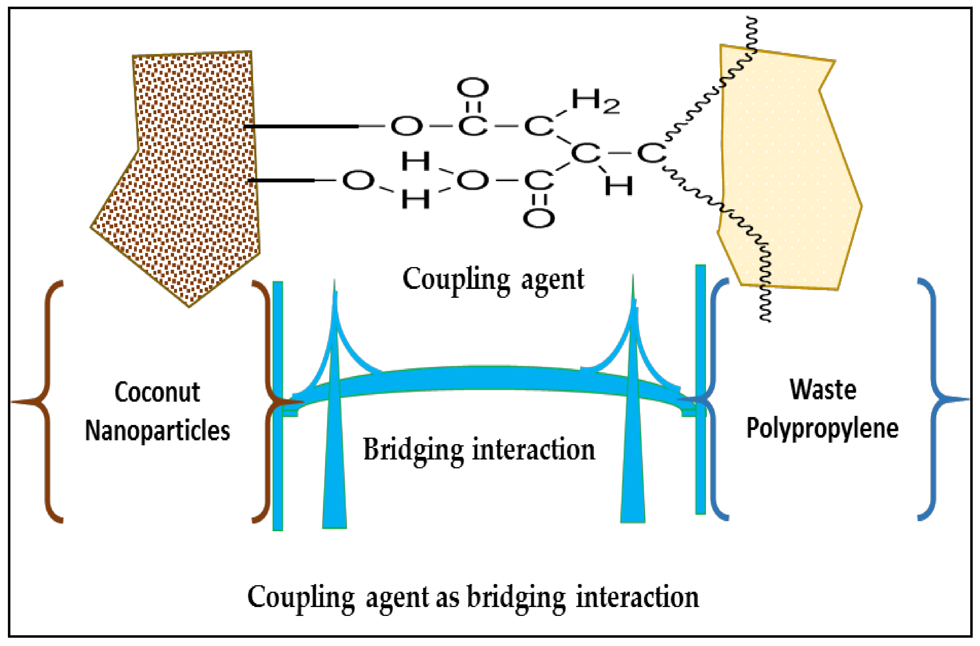 Polymers 14 00772 g001 550