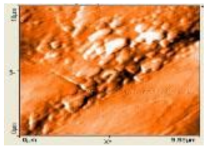 Polymers 14 00772 i002