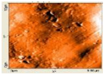 Polymers 14 00772 i004