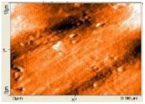 Polymers 14 00772 i006