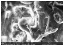 Polymers 14 00772 i007