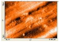 Polymers 14 00772 i008