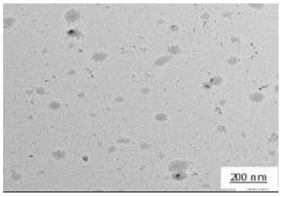 Polymers 14 00772 i017