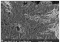 Polymers 14 00772 i023