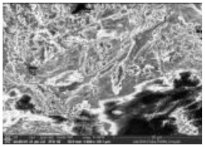 Polymers 14 00772 i025