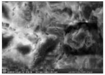 Polymers 14 00772 i029