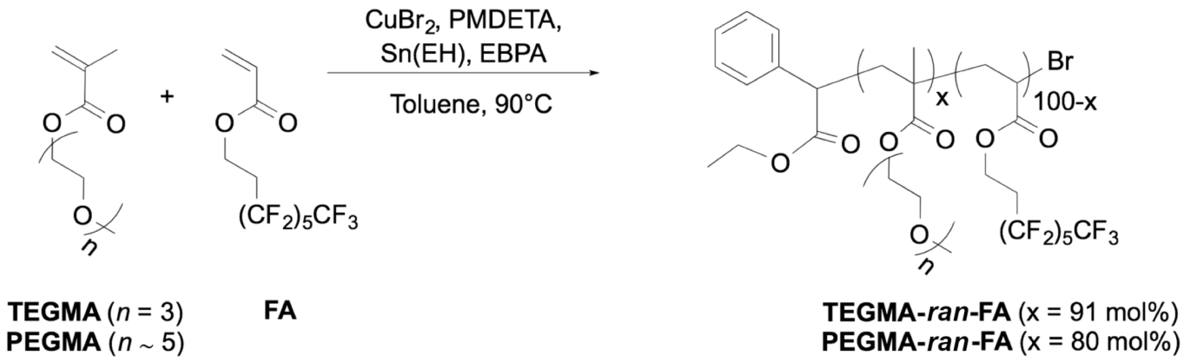 Polymers Free Full Text Self Assembled Amphiphilic Fluorinated Random Copolymers For The Encapsulation And Release Of The Hydrophobic Combretastatin A 4 Drug Html