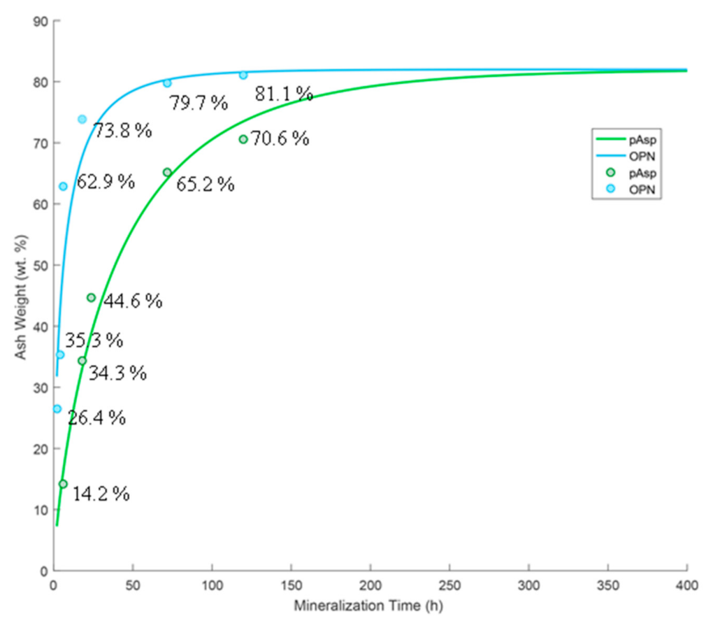 Polymers 14 00775 g002