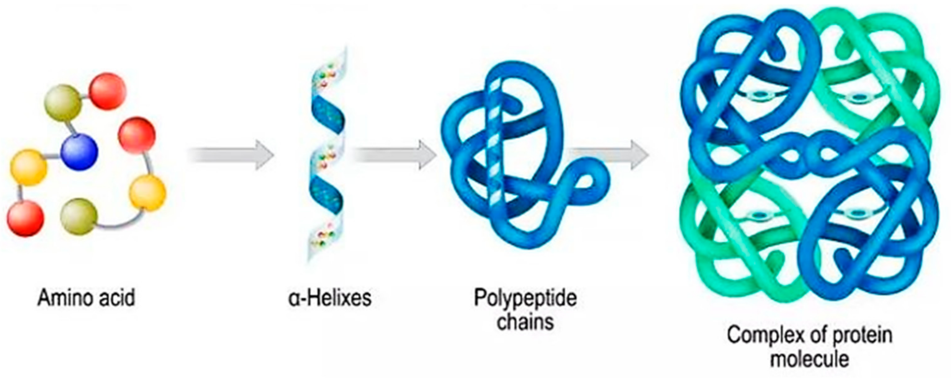 Polymers 14 00777 sch001 550