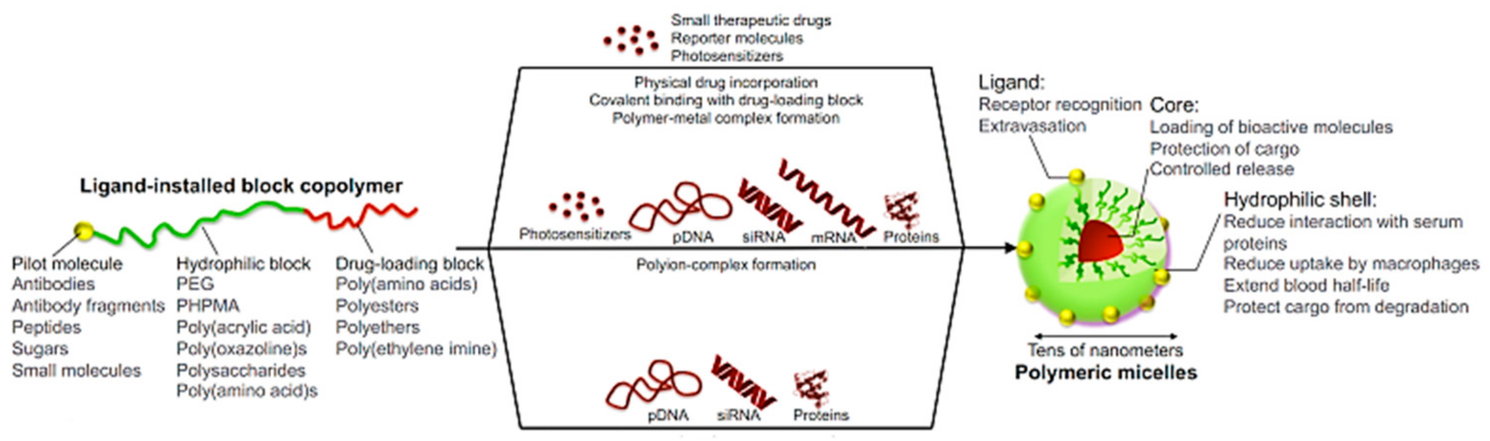 Polymers 14 00777 sch004 550