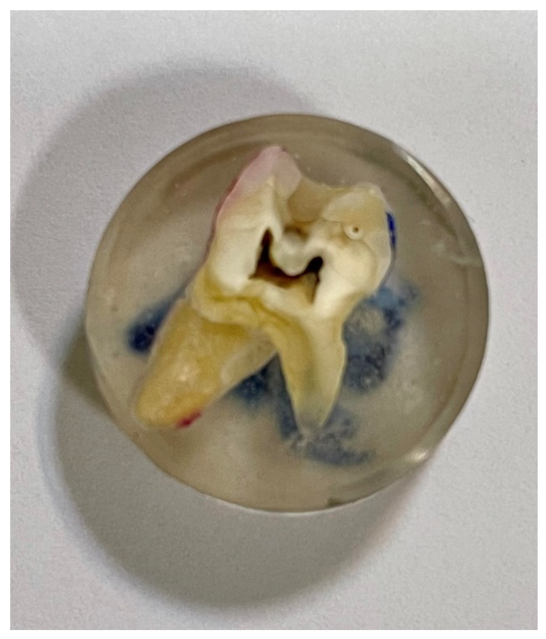 Polymers 14 00780 g001 550