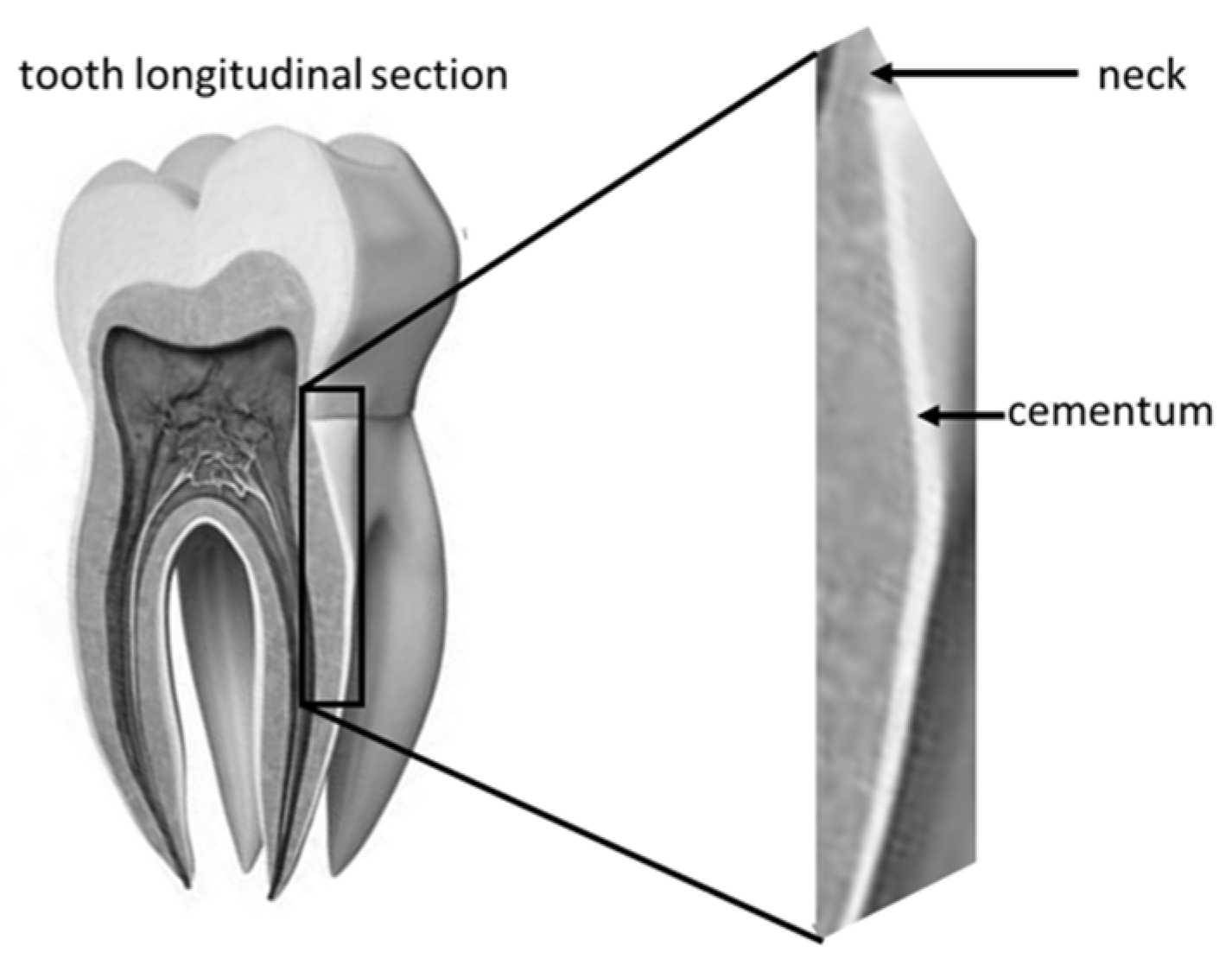 Polymers 14 00780 g004 550