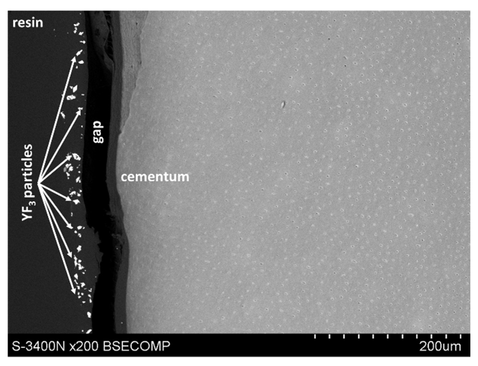 Polymers 14 00780 g005 550