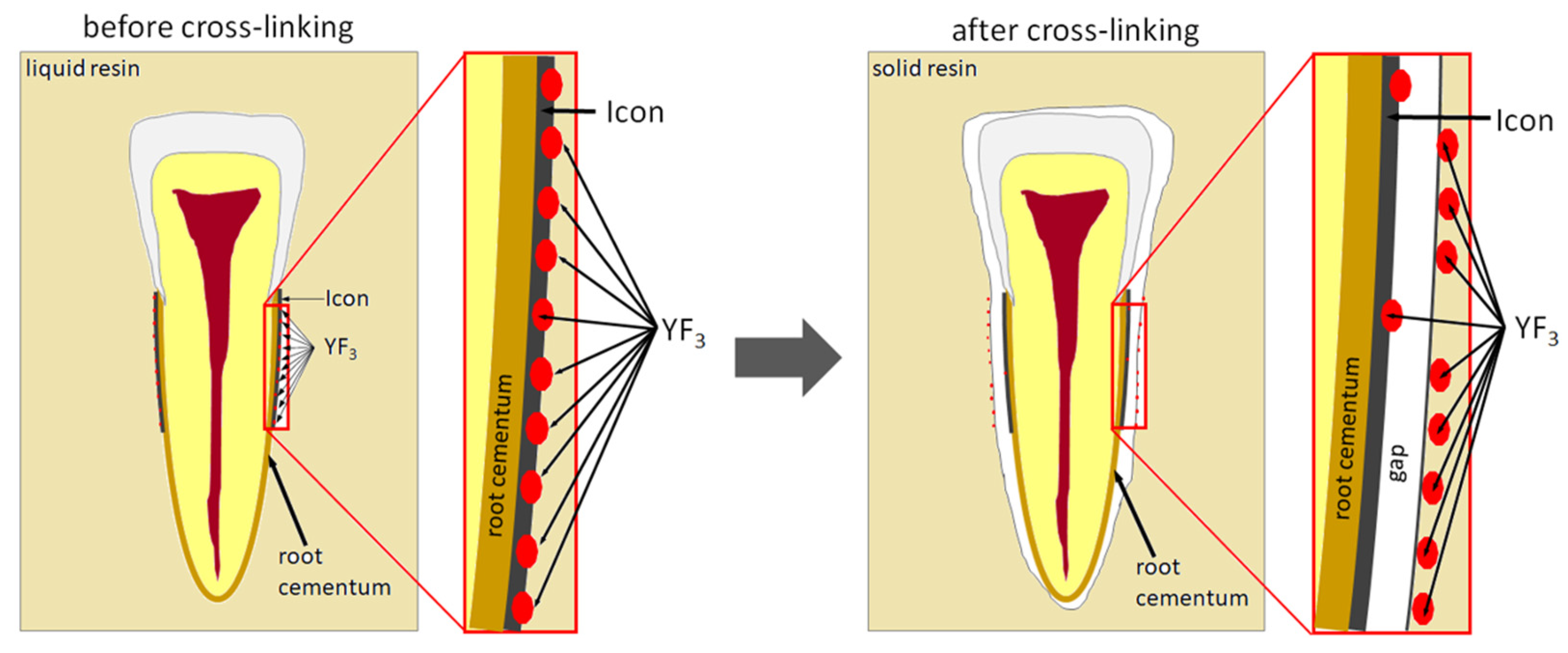 Polymers 14 00780 g006 550