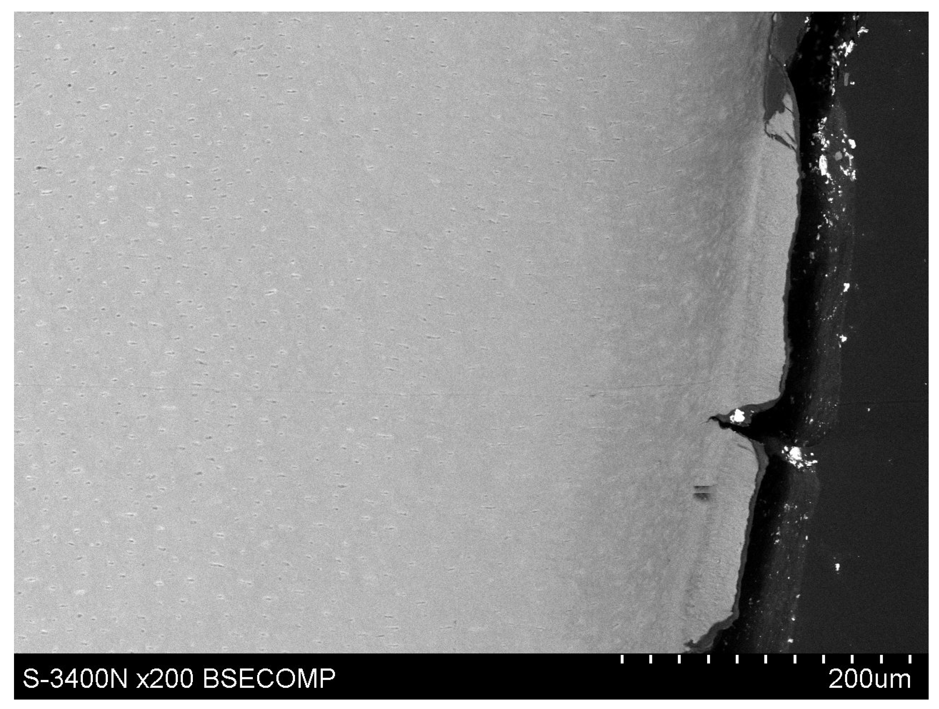 Polymers 14 00780 g008 550