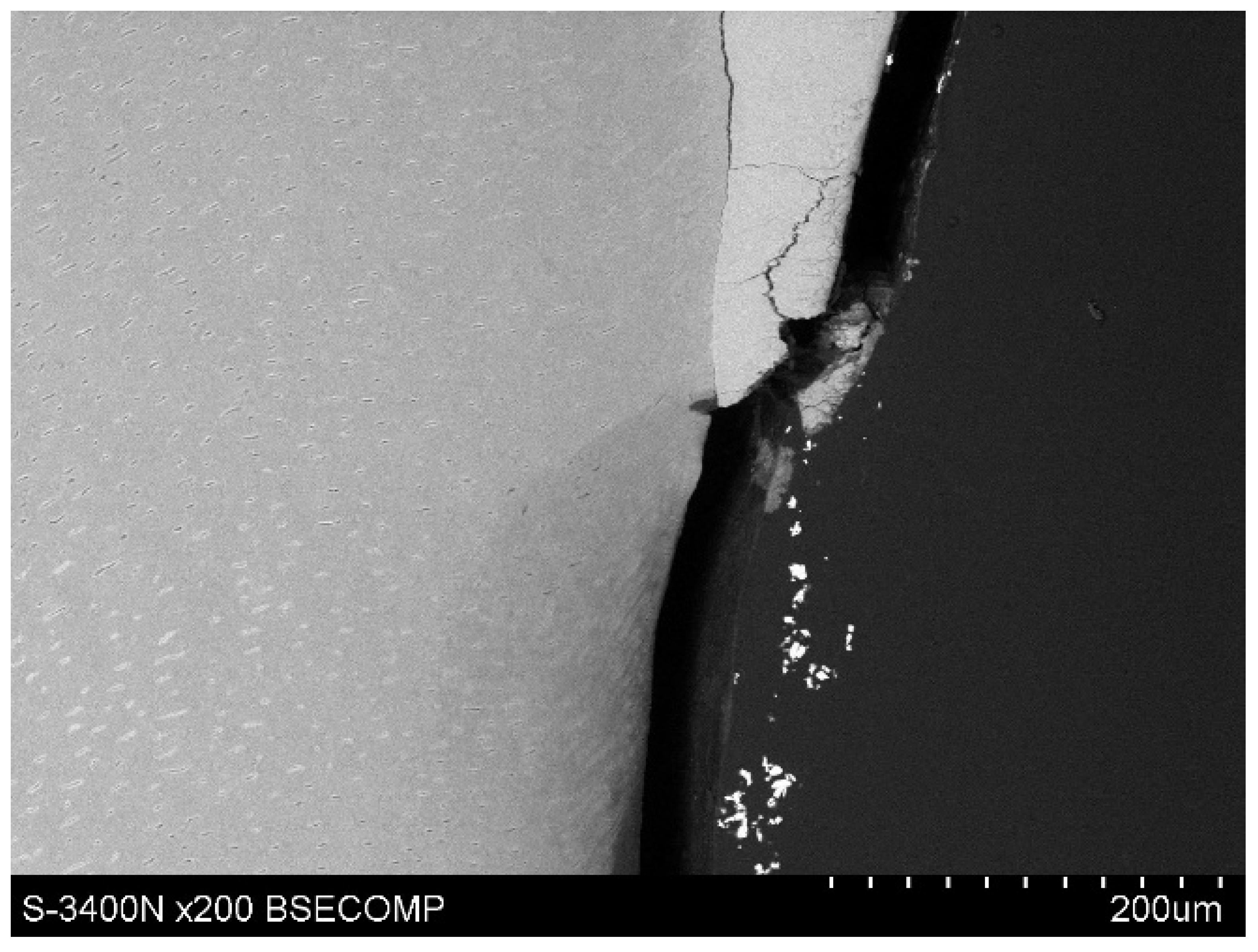 Polymers 14 00780 g009 550