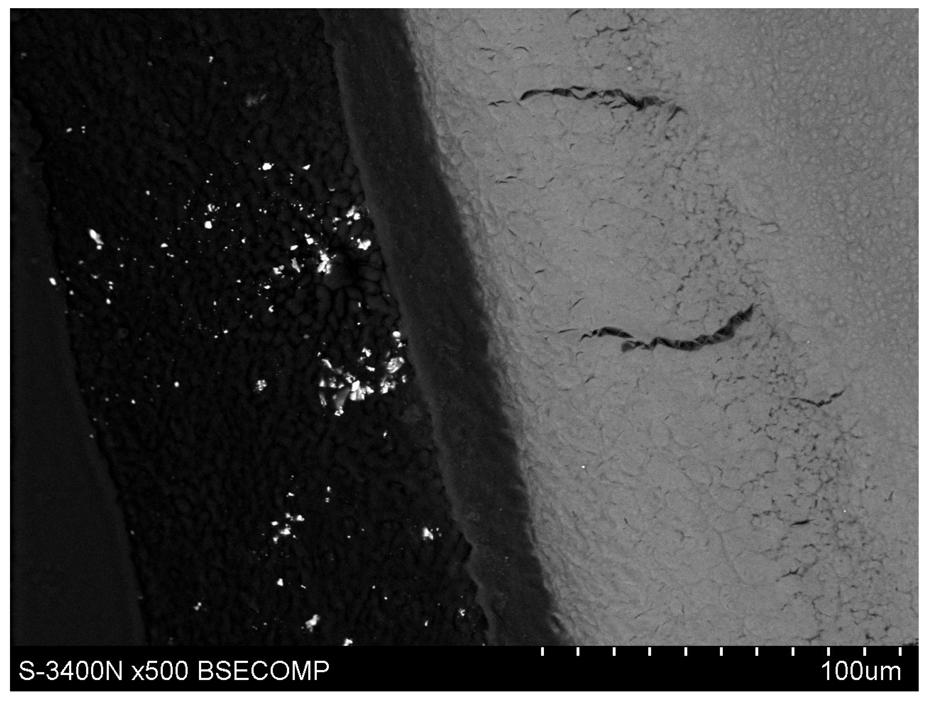 Polymers 14 00780 g010 550