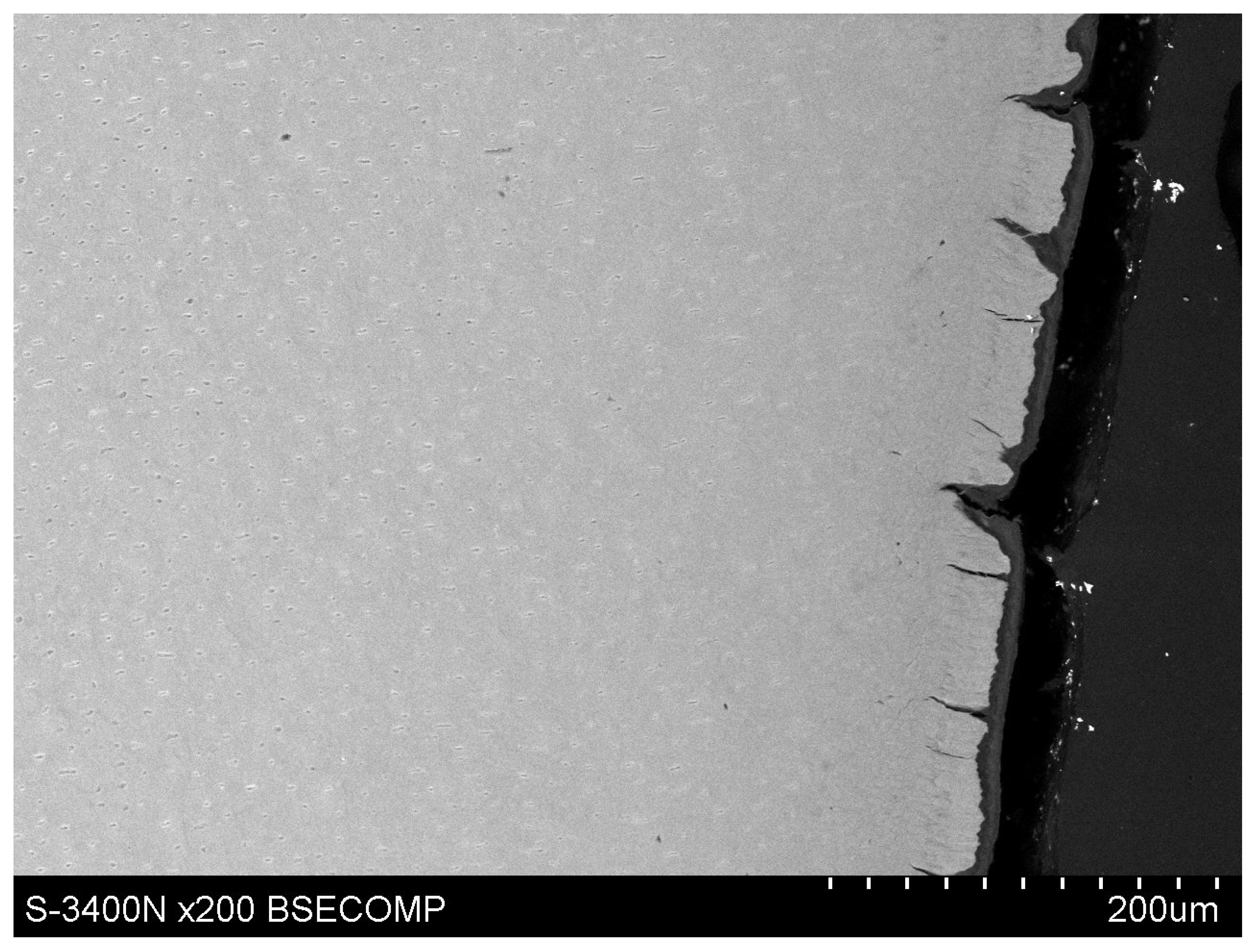 Polymers 14 00780 g011 550