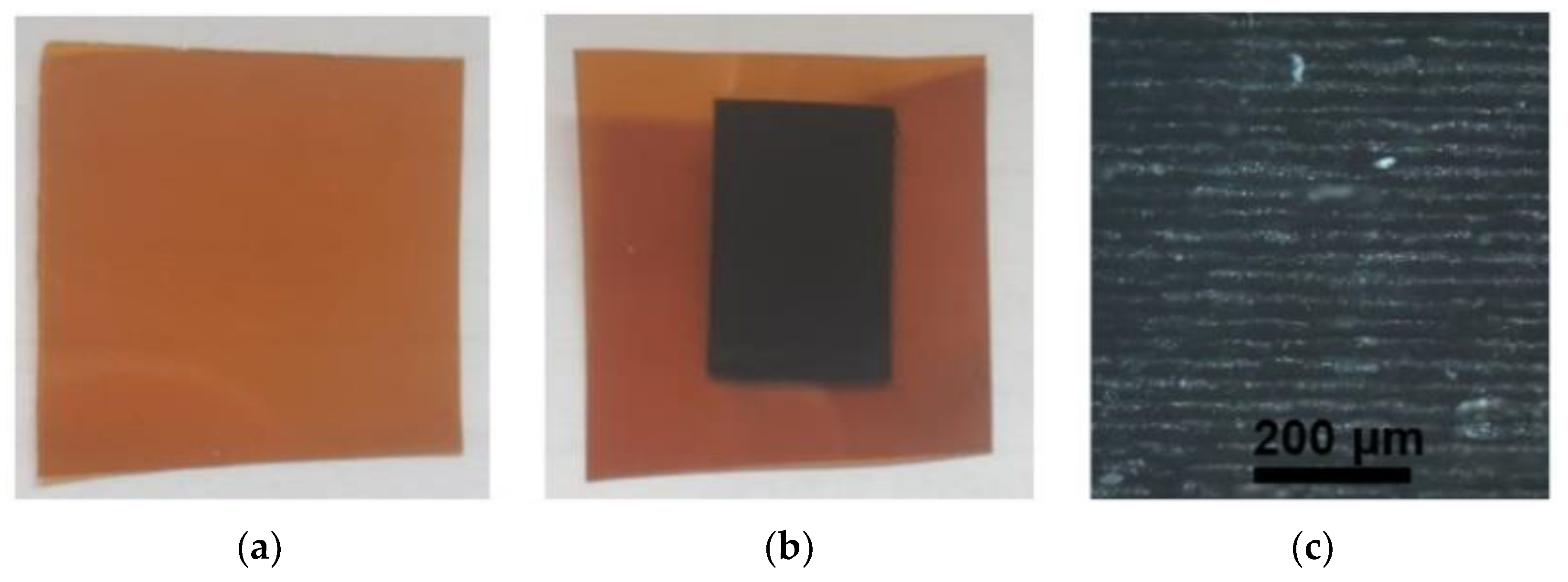 Polymers 14 00781 g004 550