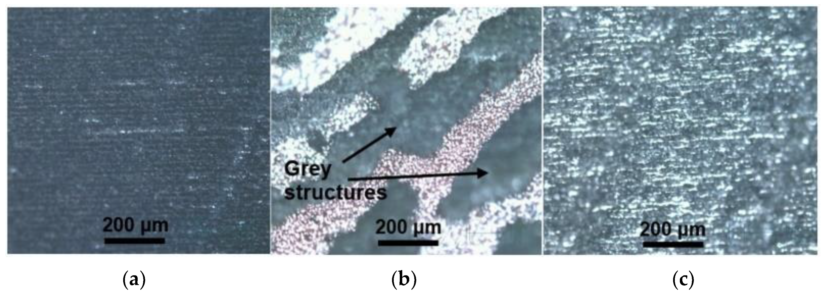 Polymers 14 00781 g006 550