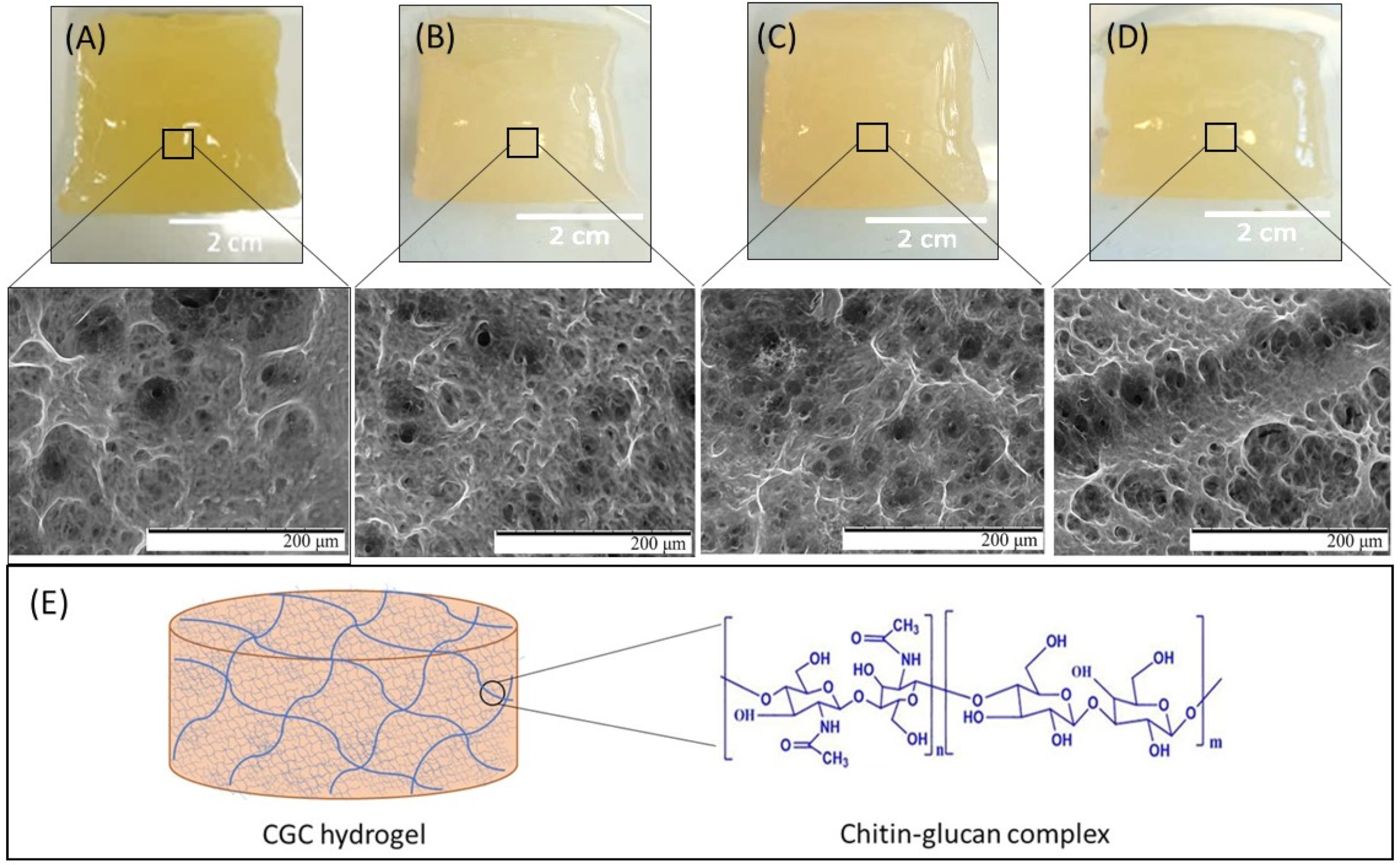 Polymers 14 00785 g001