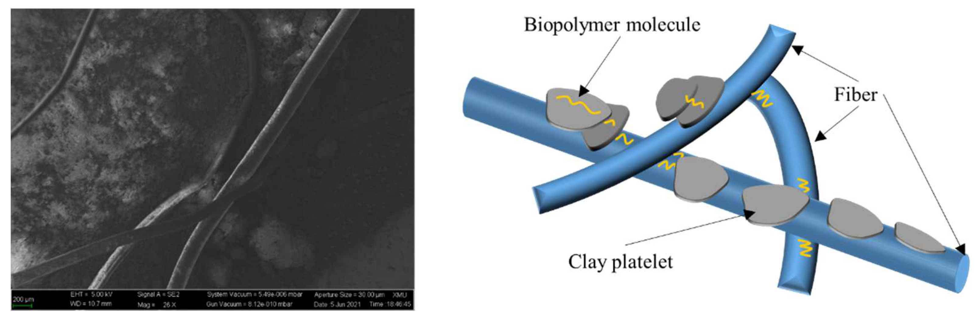 Polymers 14 00787 g010