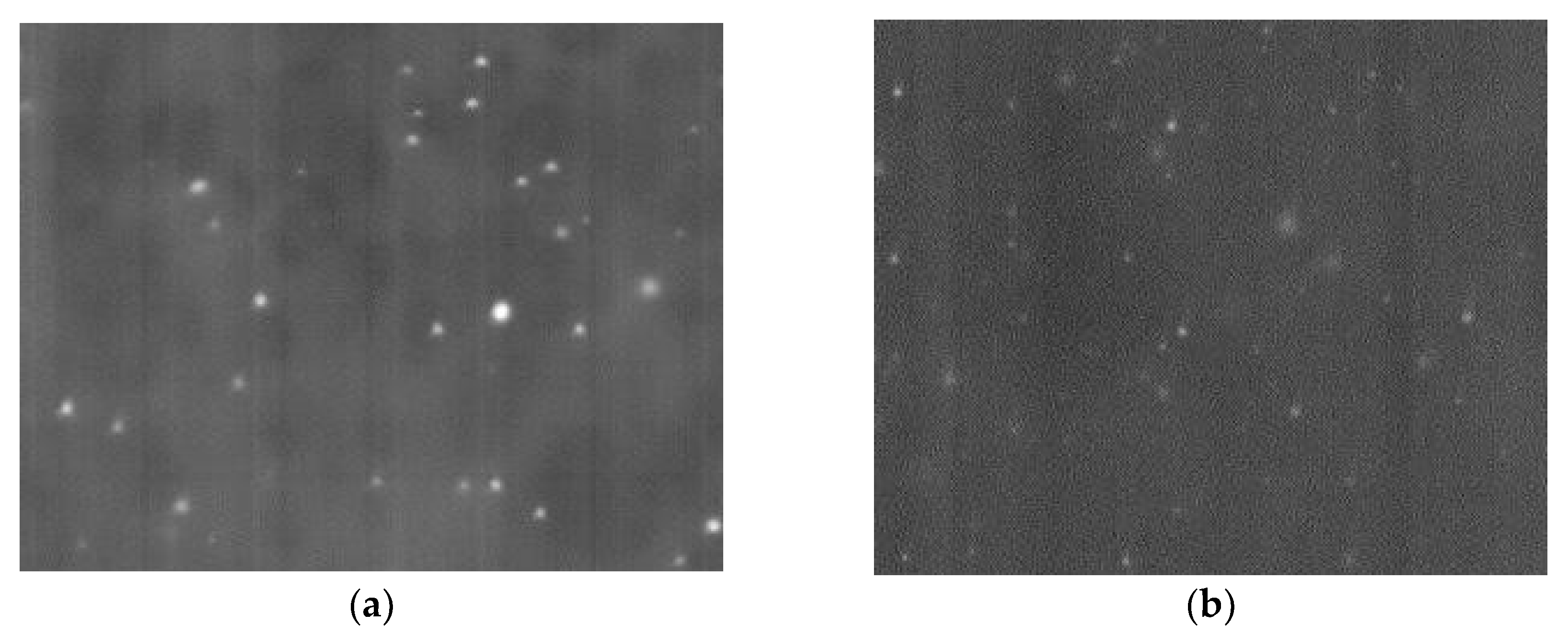 Polymers 14 00788 g002a Polymers 14 00788 g002a