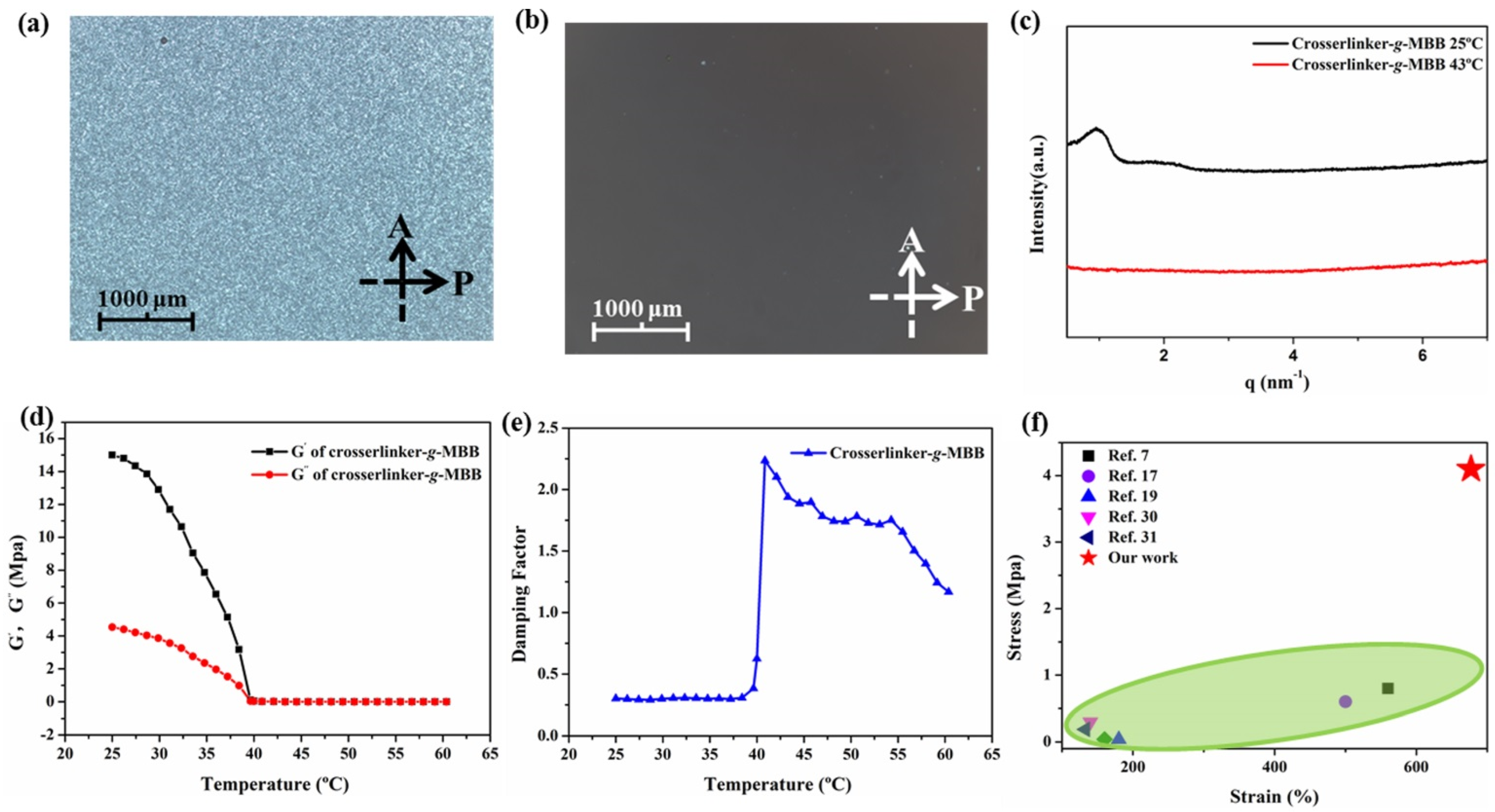 Polymers 14 00789 g002