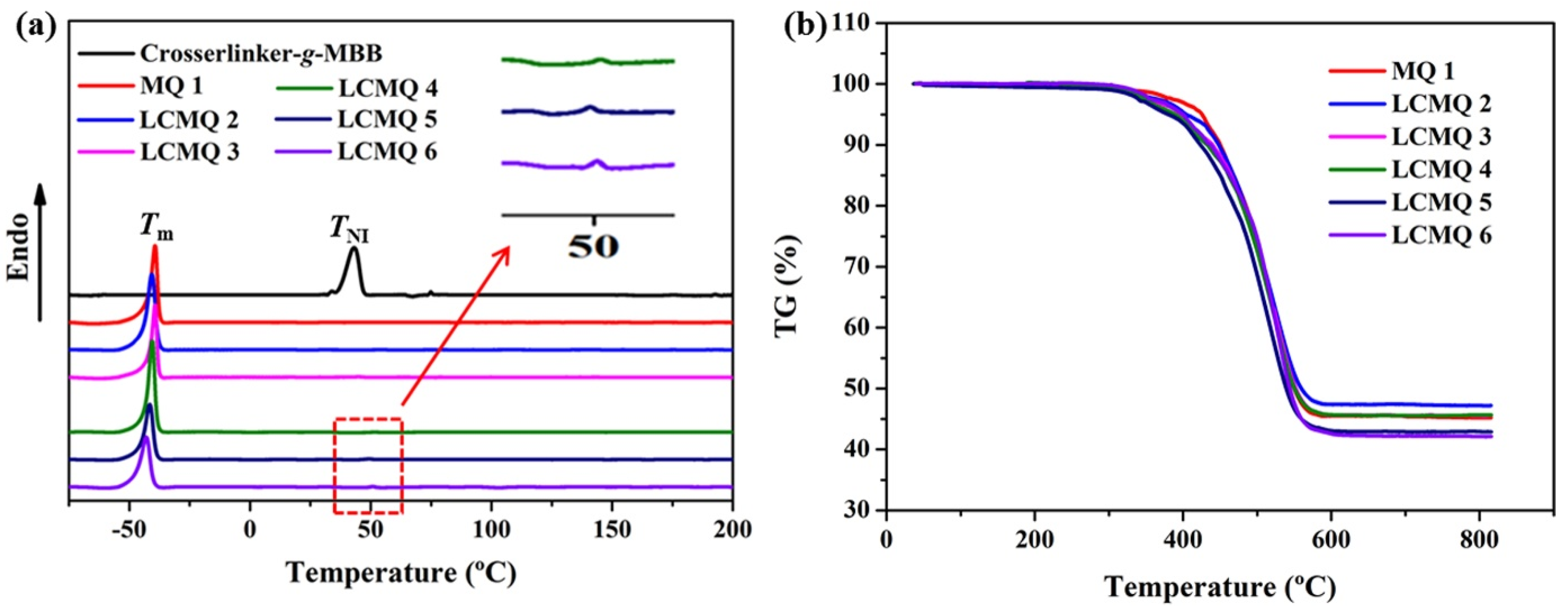 Polymers 14 00789 g003