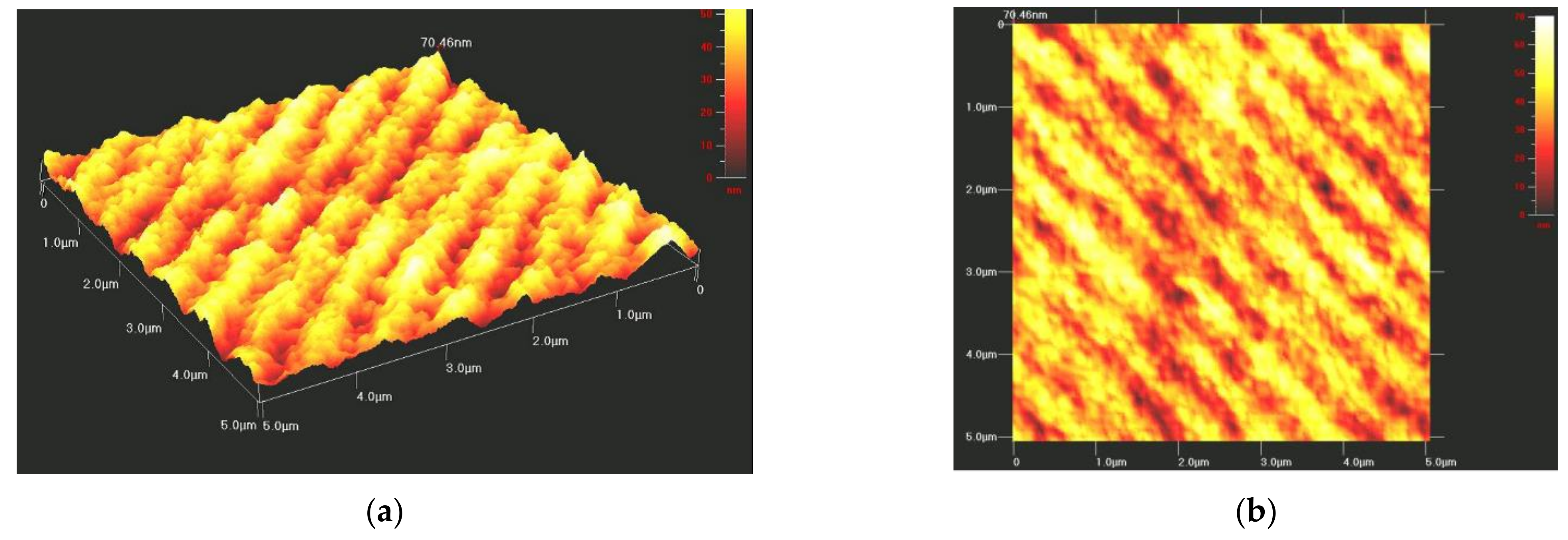 Polymers 14 00791 g008