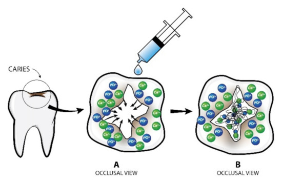 A comprehensive review on peptide-bearing biomaterials: From ex