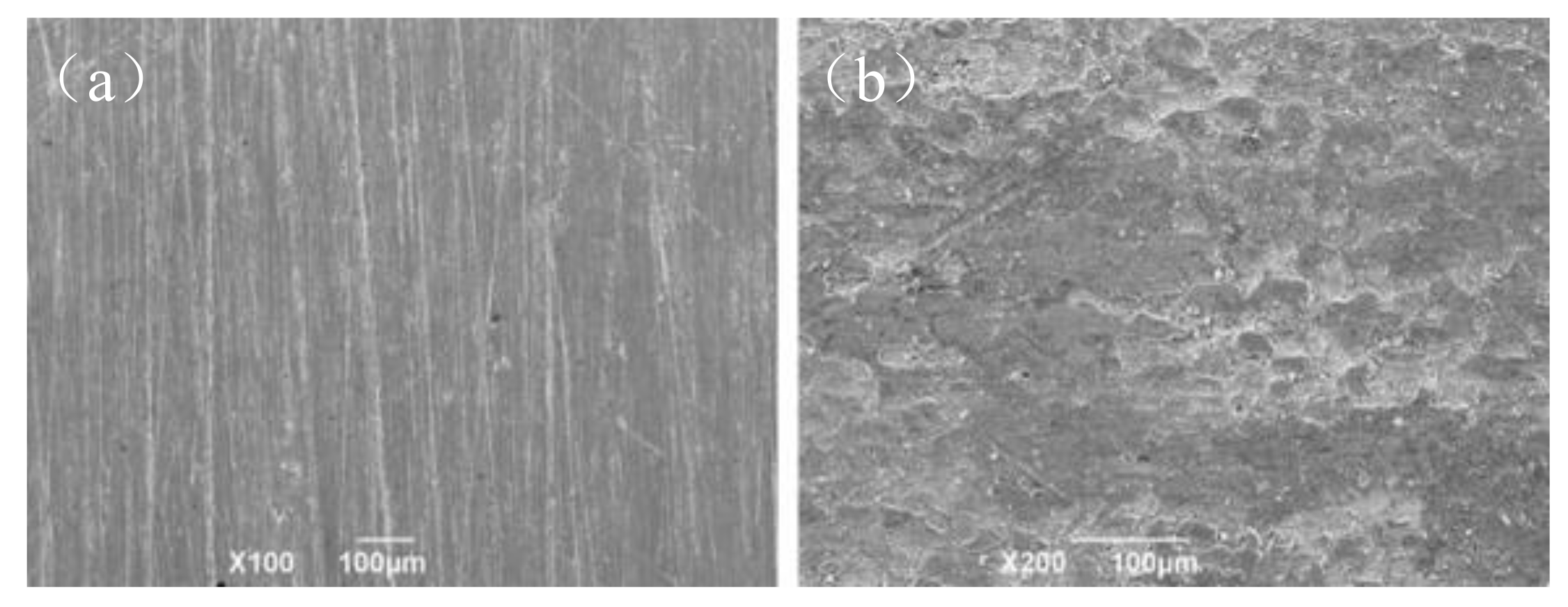 Polymers 14 00794 g004