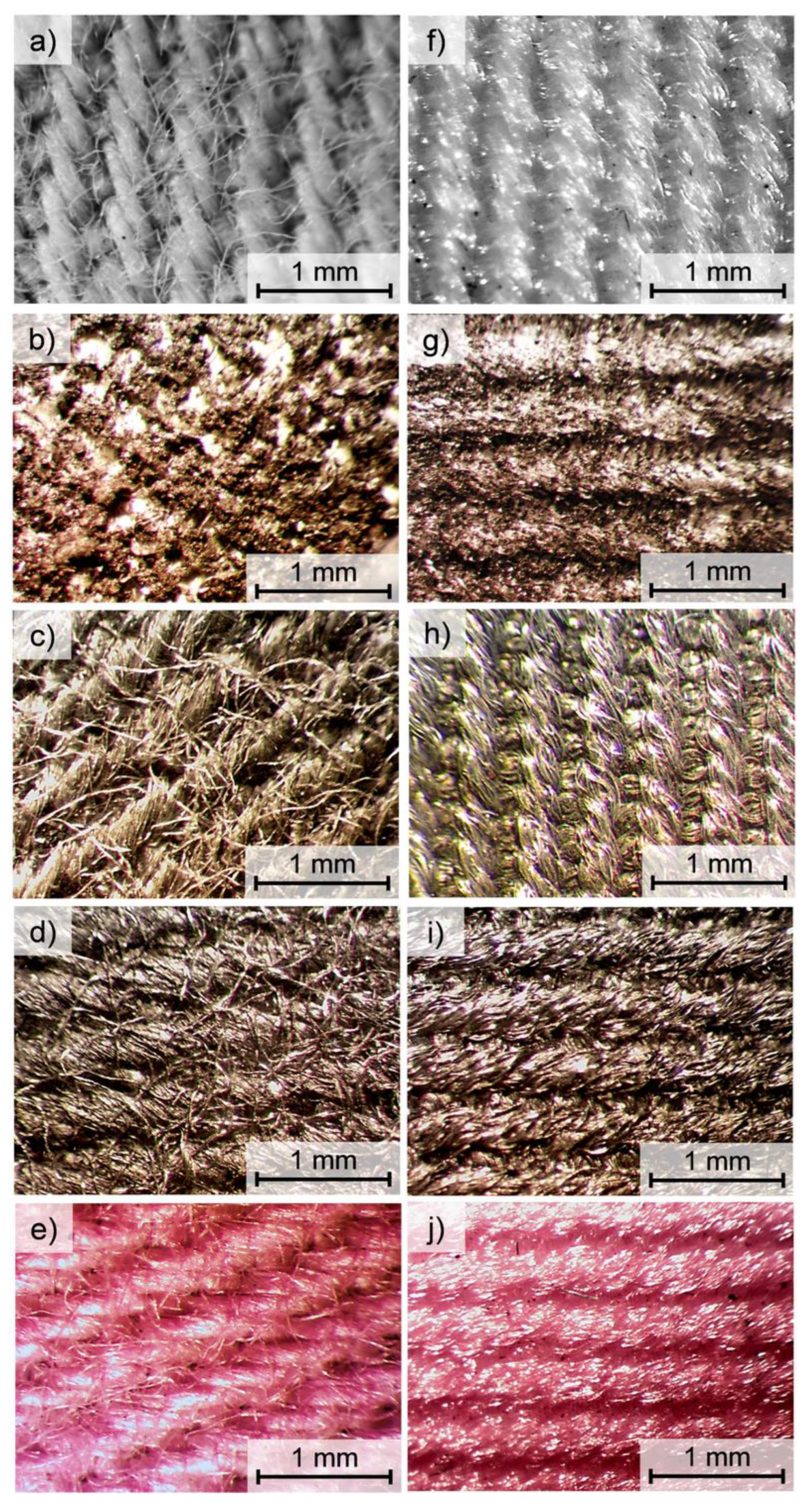 Polymers 14 00796 g008 550