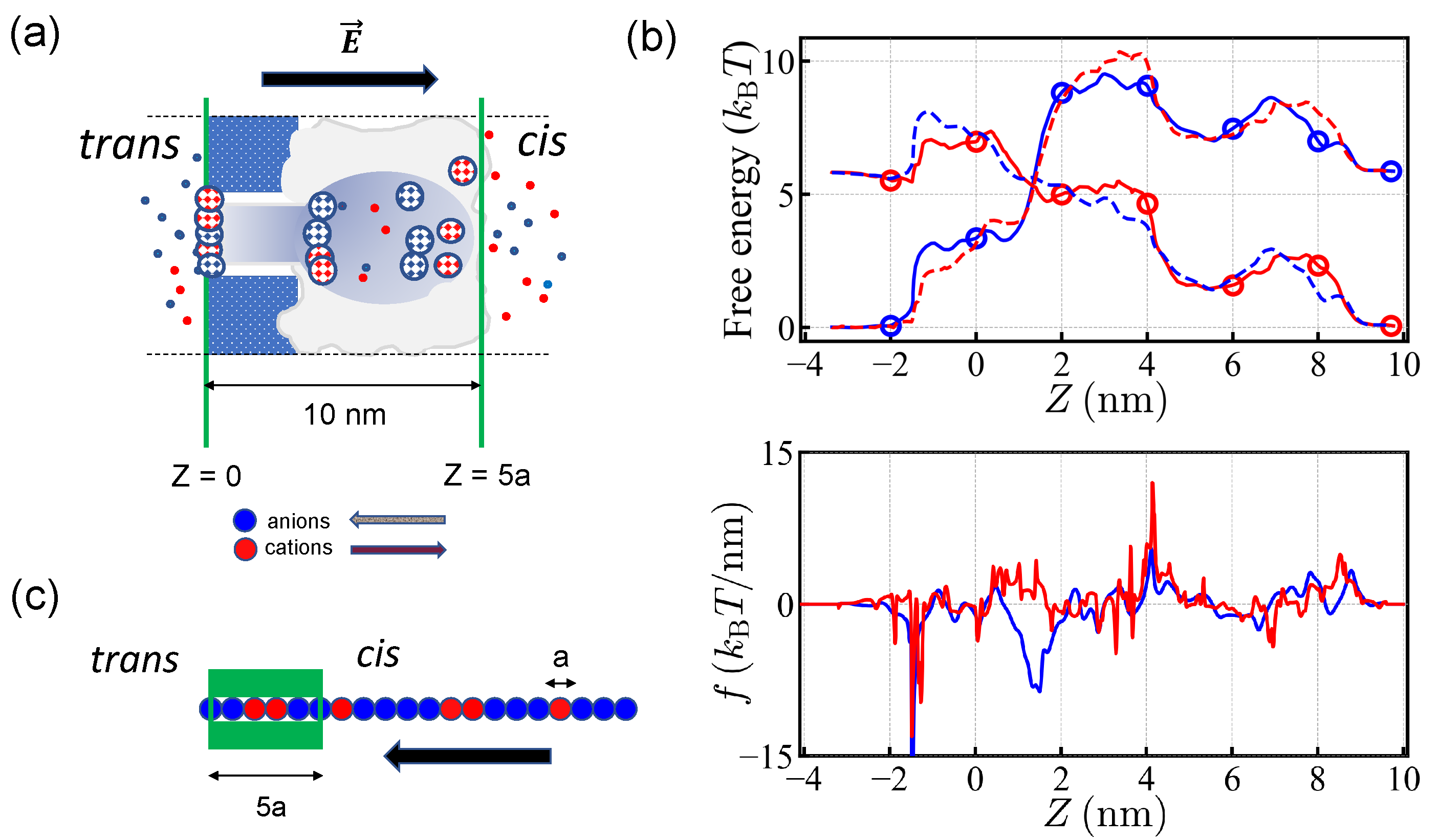 Polymers 14 00797 g001 550