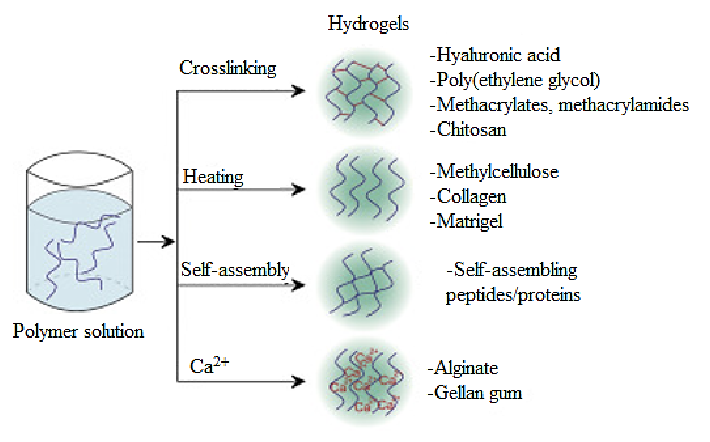 Polymers 14 00799 g002