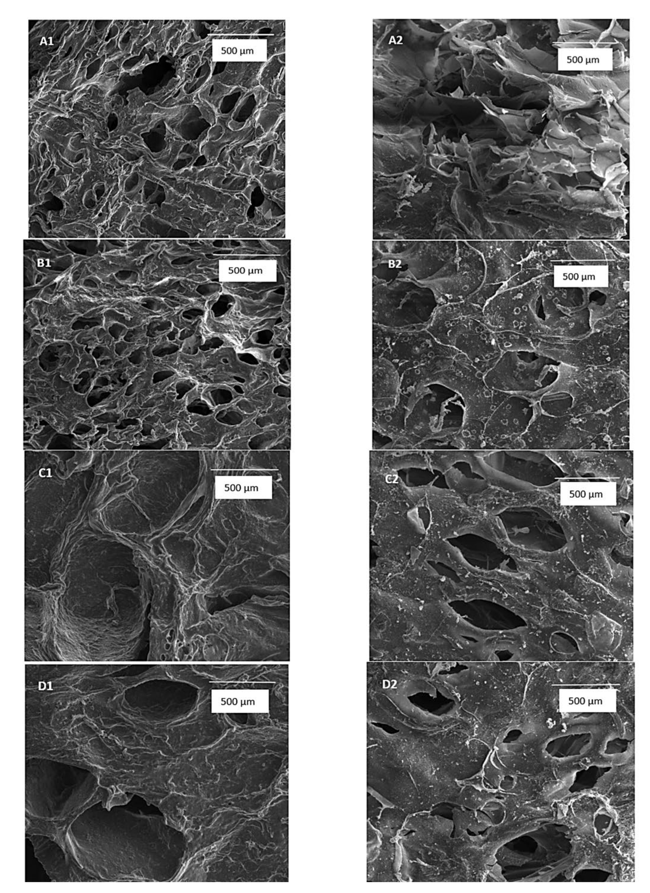 Polymers 14 00799 g004