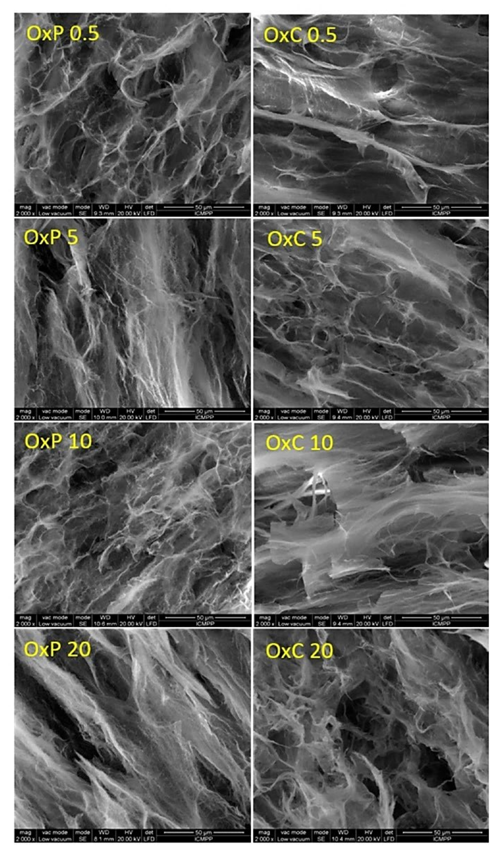 Polymers 14 00799 g005