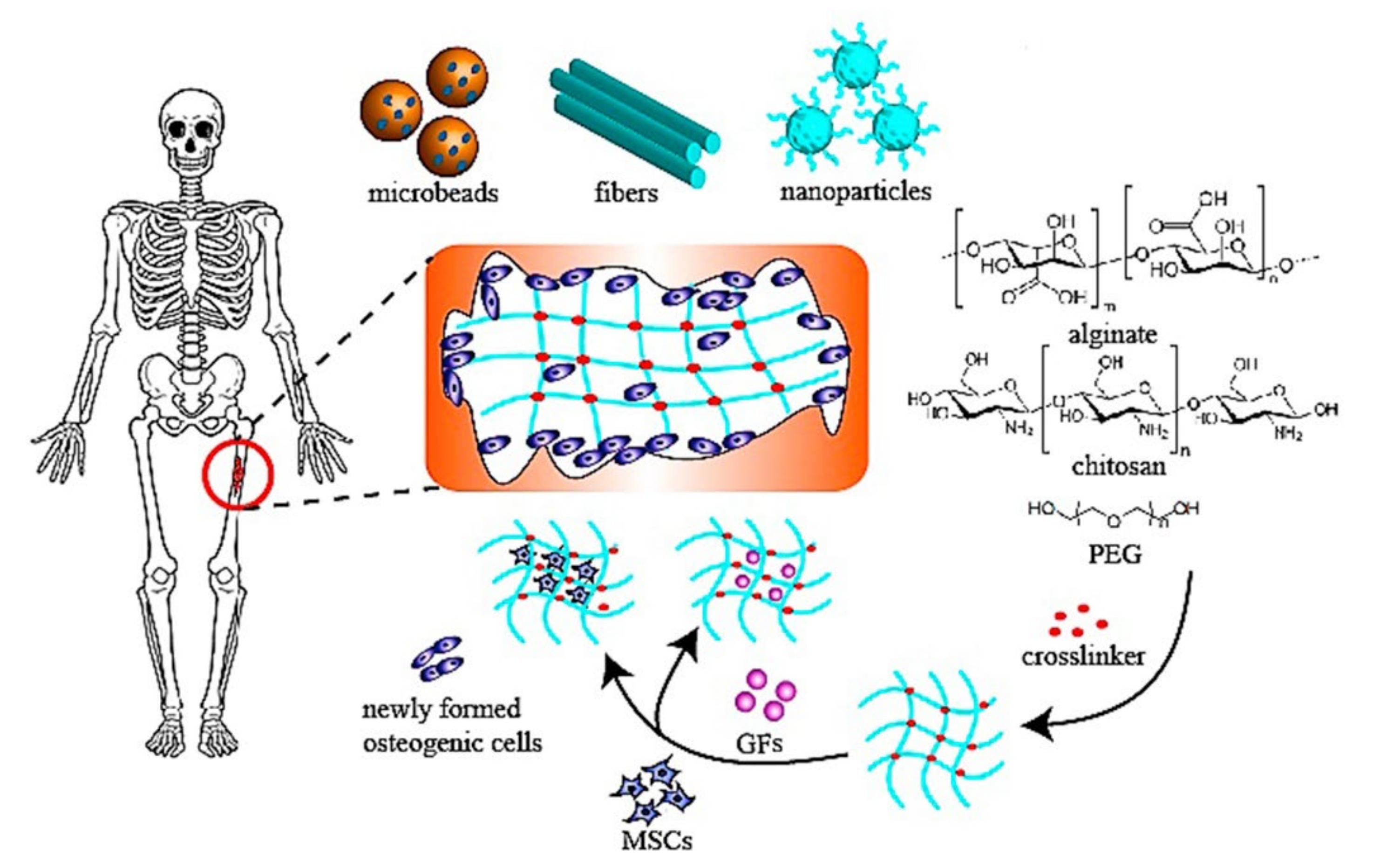 Polymers 14 00799 g008