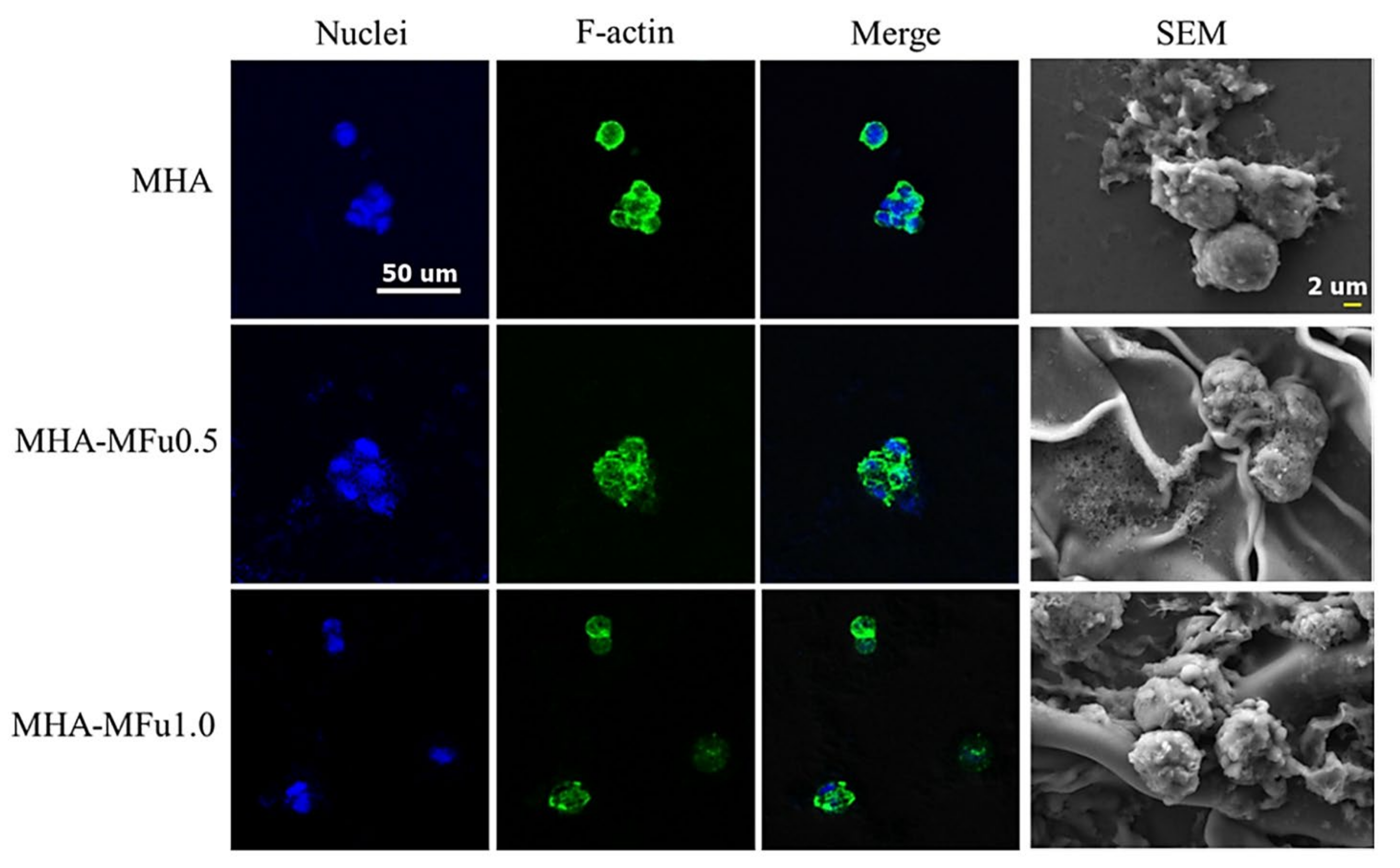 Polymers 14 00799 g009