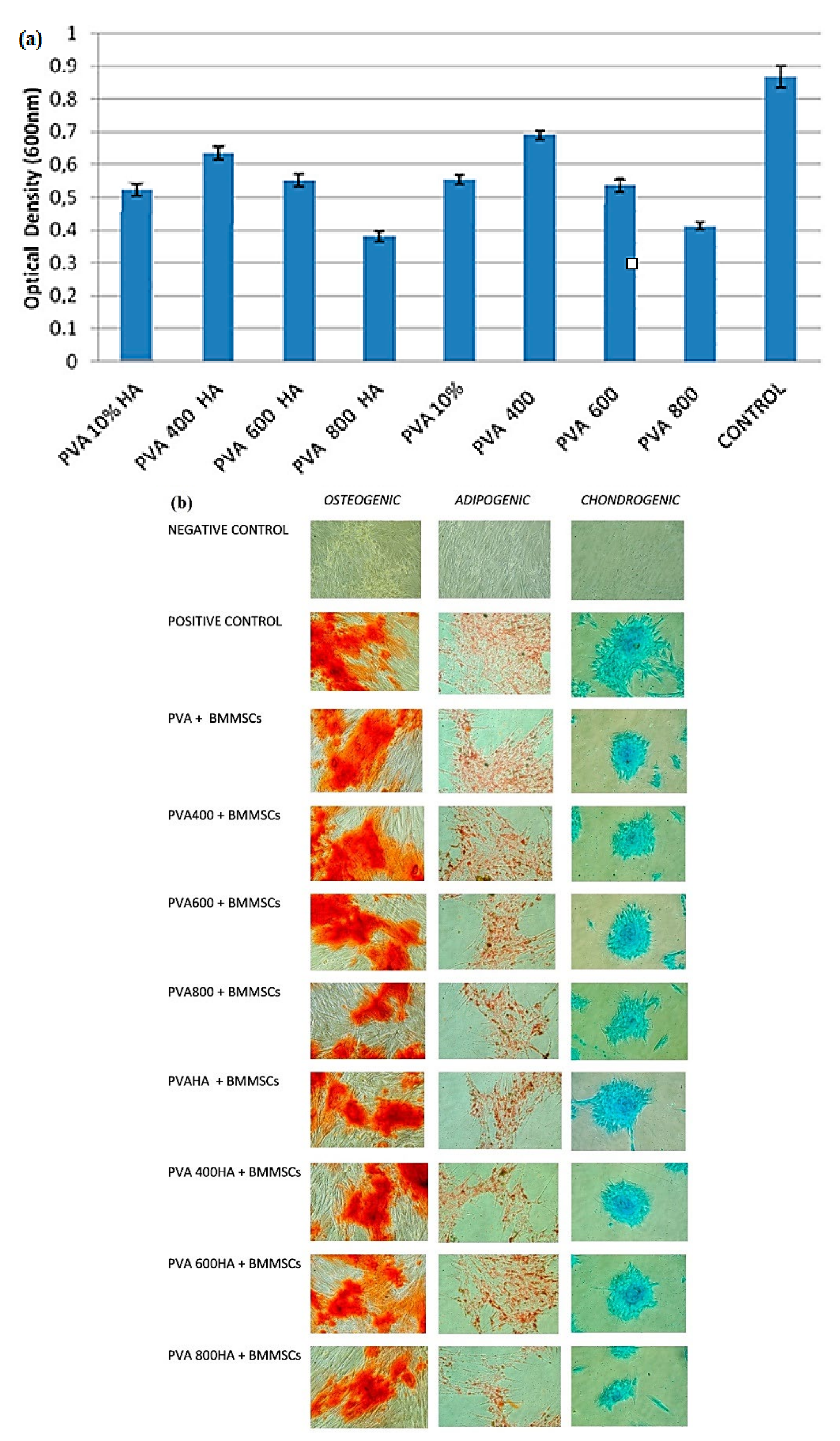 Polymers 14 00799 g010