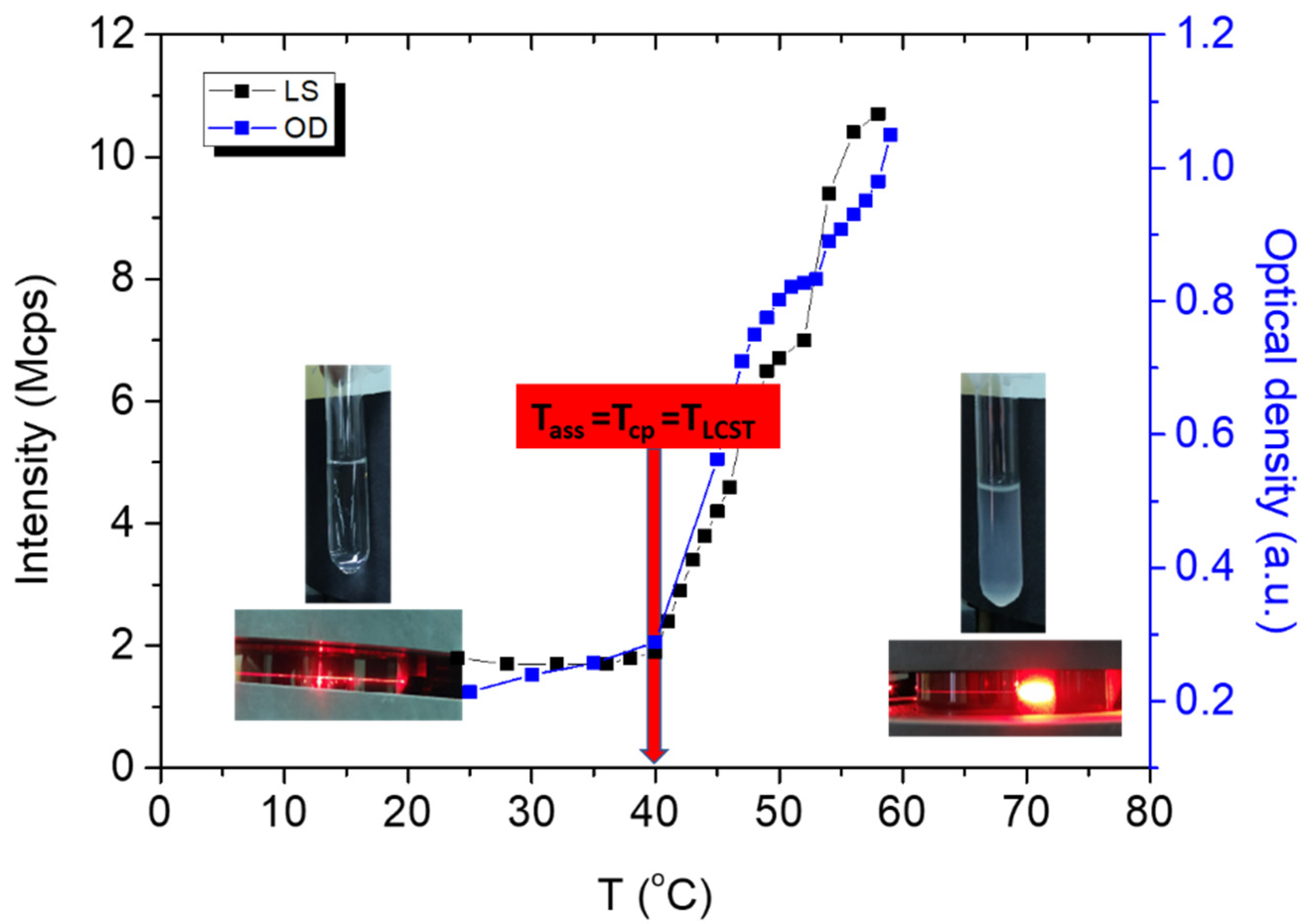 Polymers 14 00802 g001 550