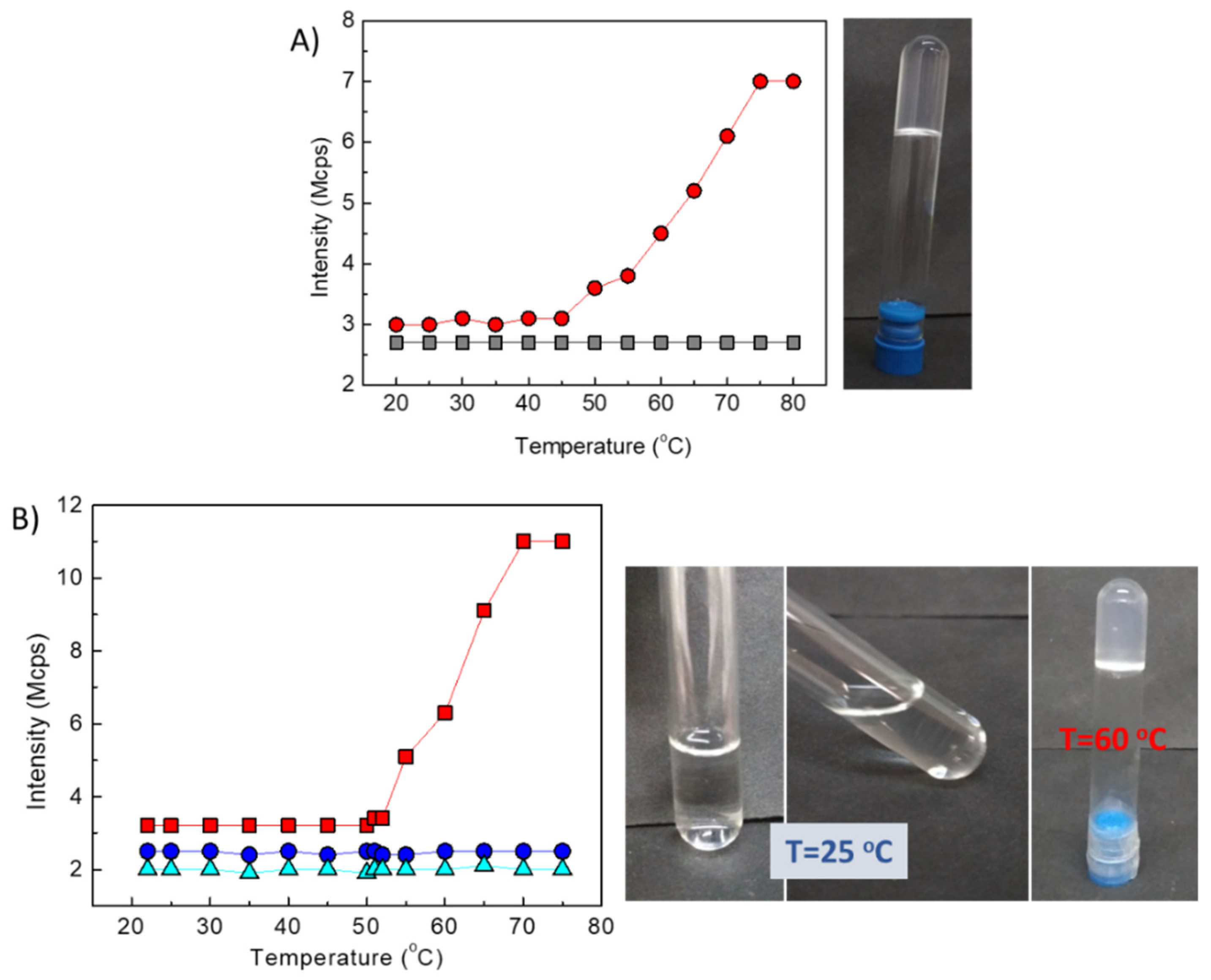 Polymers 14 00802 g002 550