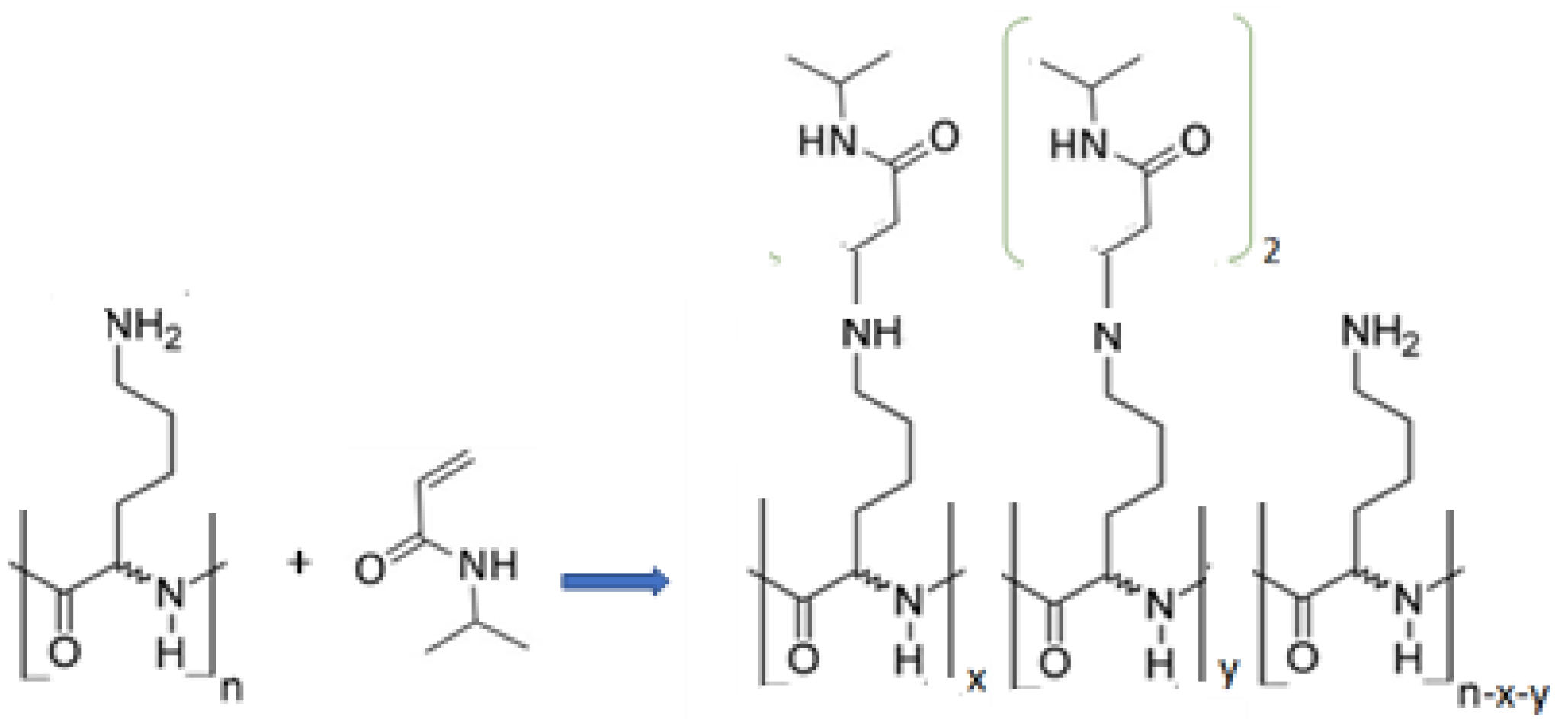 Polymers 14 00802 sch001 550