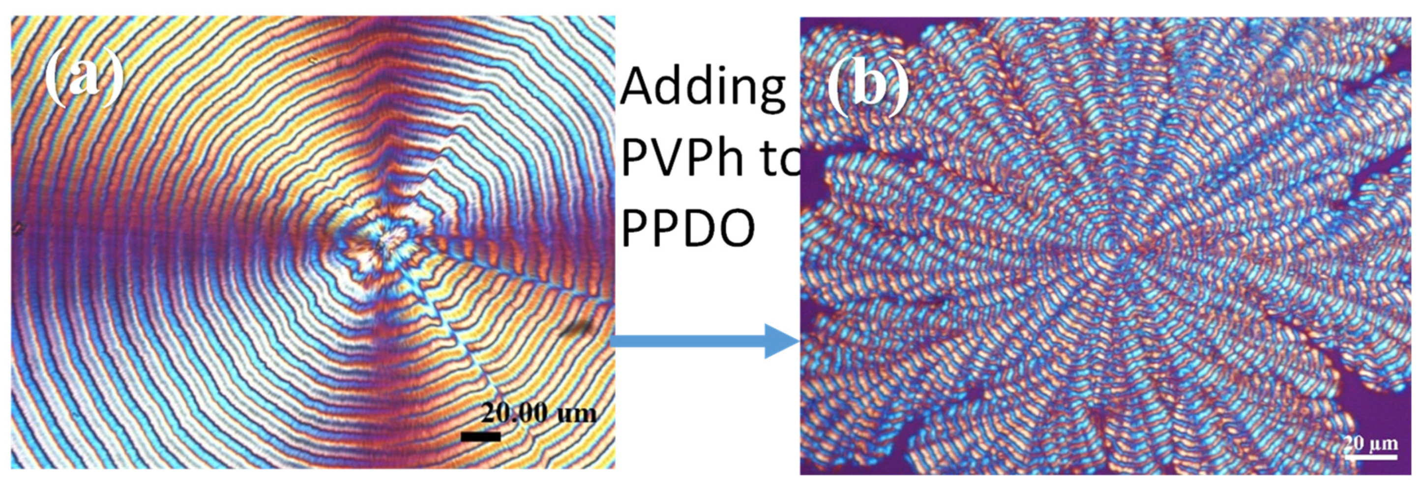 Polymers 14 00805 g001