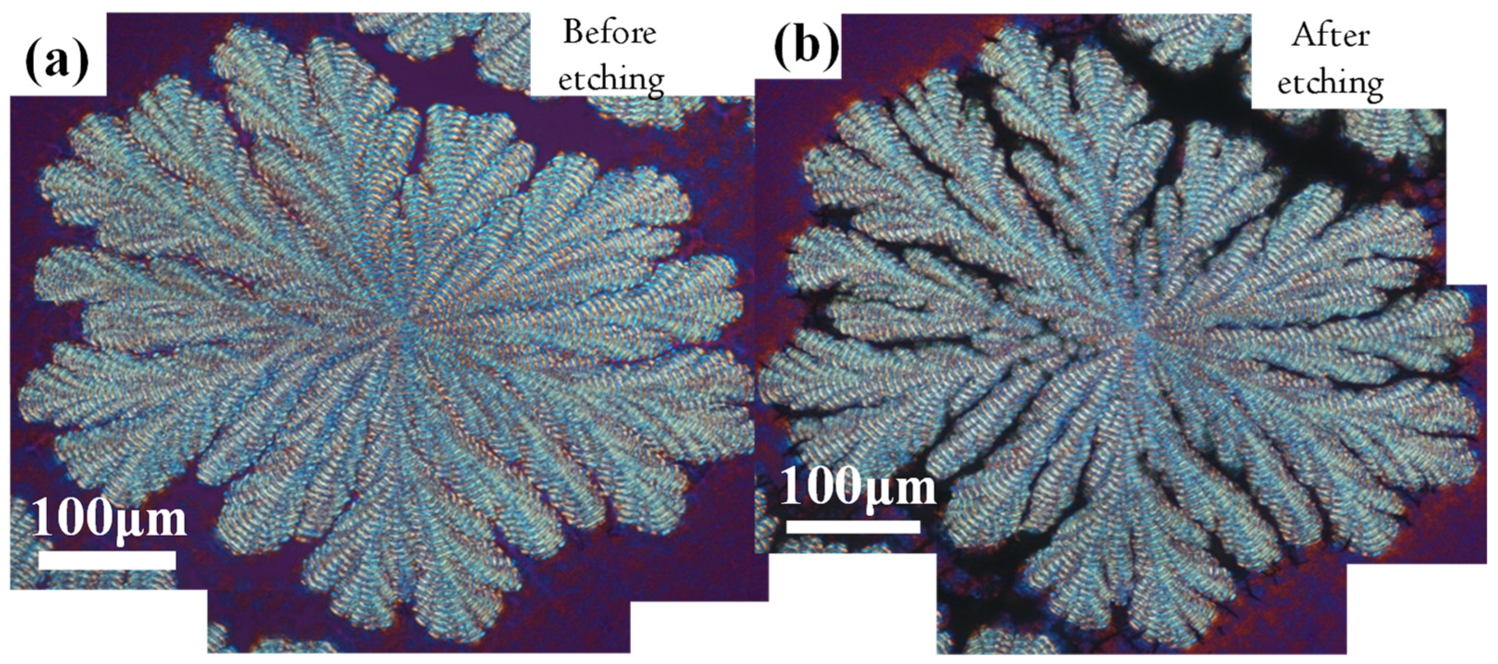 Polymers 14 00805 g002