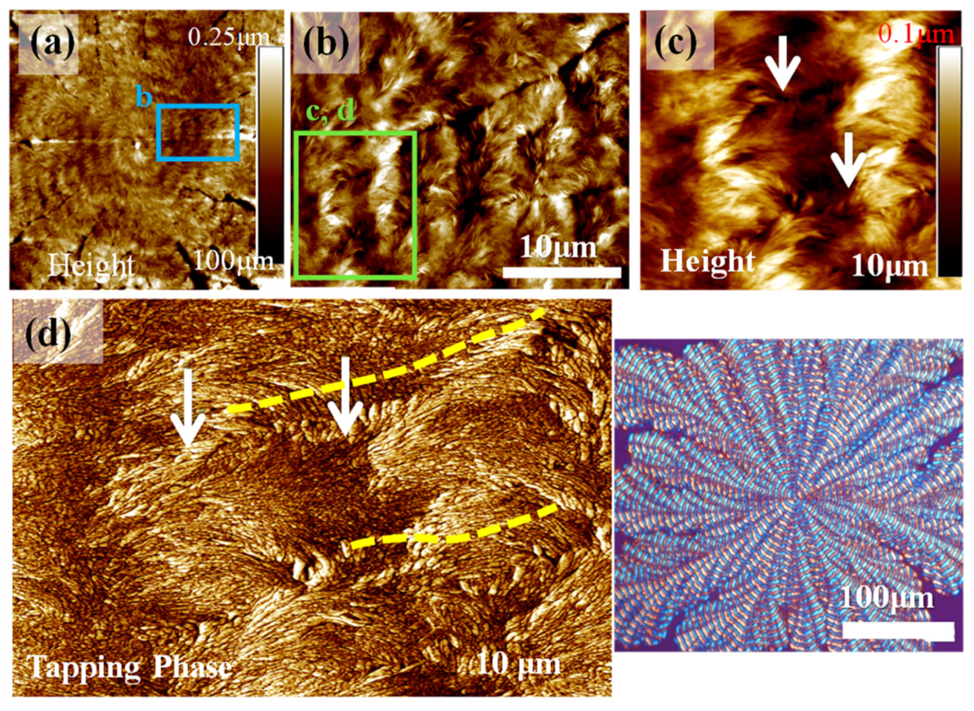 Polymers 14 00805 g006