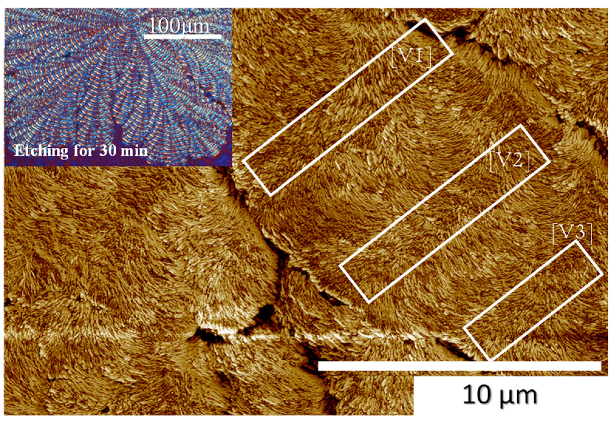 Polymers 14 00805 g008