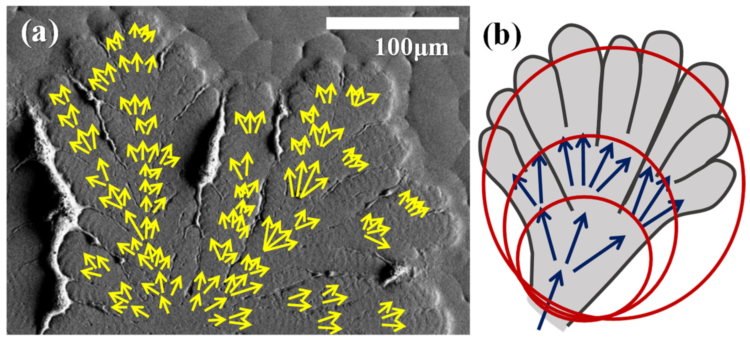 Polymers 14 00805 g010