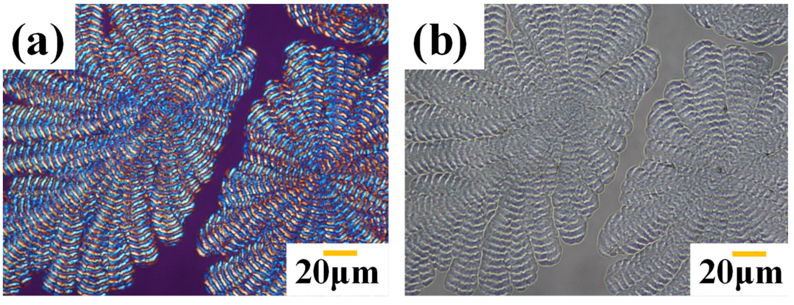 Polymers 14 00805 g012