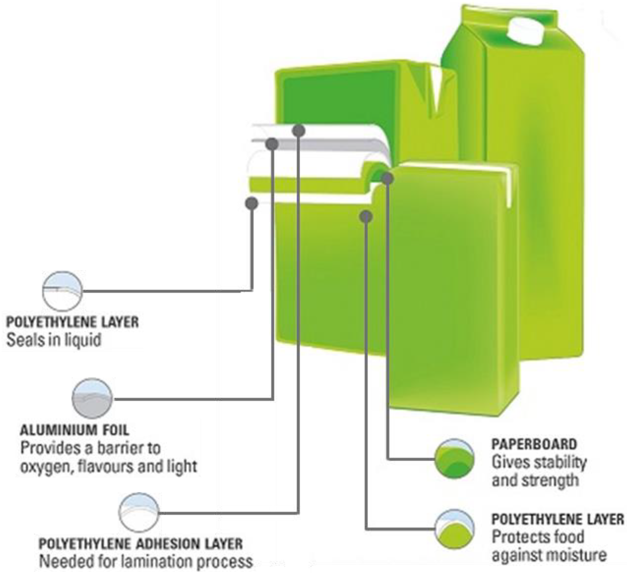 Polymers 14 00807 g001